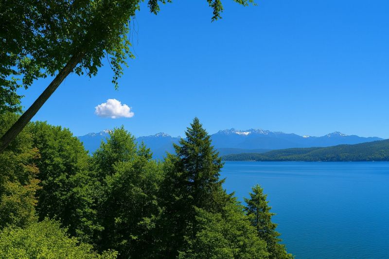 Best Bathtub Installation pros in Seattle, WA