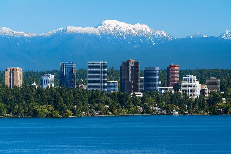 Best Bathtub Installation pros in Renton, WA